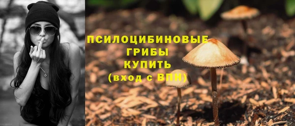 mdpv Киренск